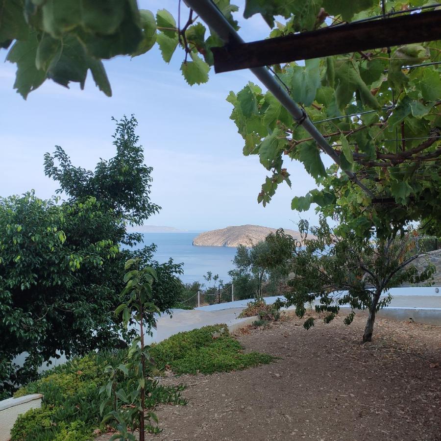 Villa Kefali Kavoúsion Екстериор снимка