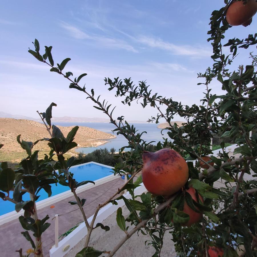 Villa Kefali Kavoúsion Екстериор снимка